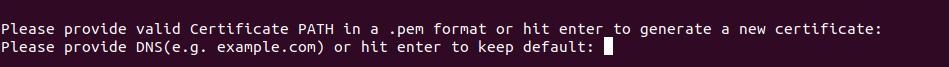_images/EBF_DNS.png