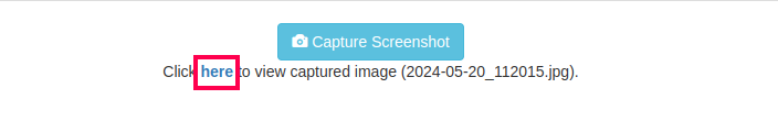 _images/capture_image_3_update.png